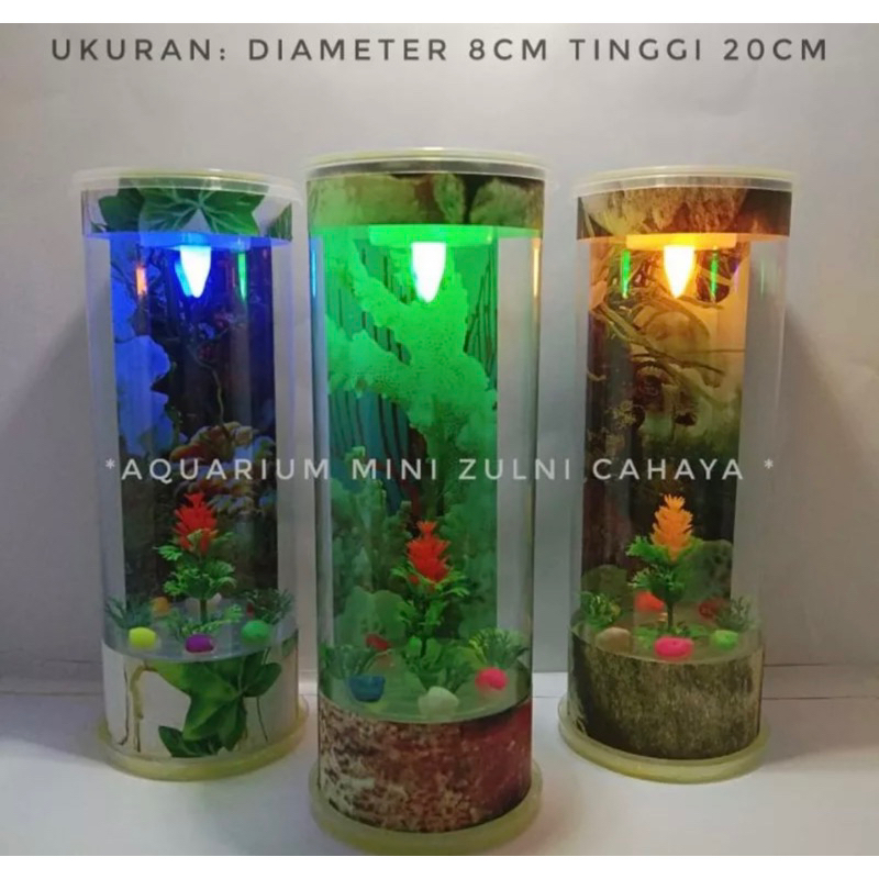 Aquarium Mini Dilengkapi Lampu Led 3wat