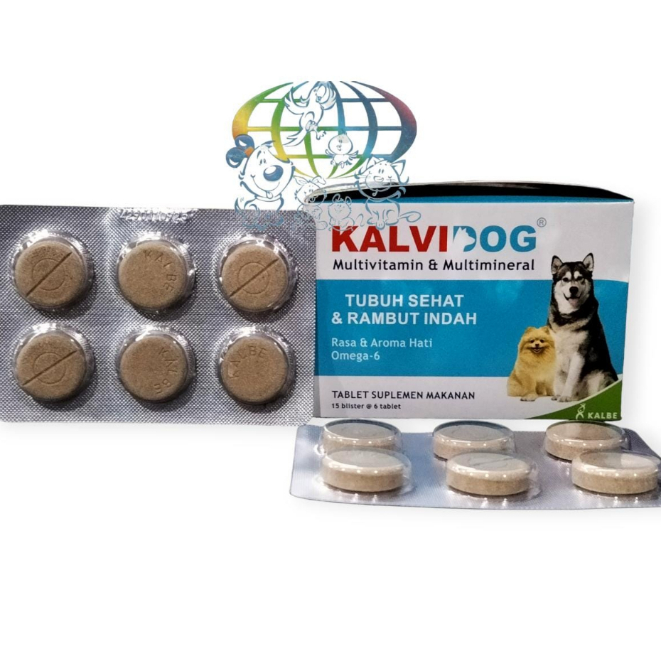 Kalvidog multivitamin bulu anjing kucing kelinci 6 T kalbe rsa LIVER