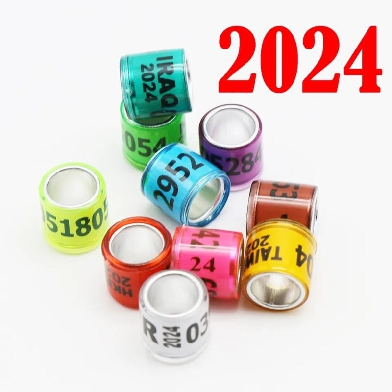 RING MERPATI IMPORT 2024