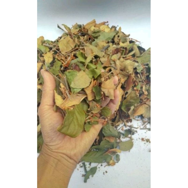 

PEROMO MURAH JUAL BENALU CENGKEH KERING ASLI PER 100 GRAM