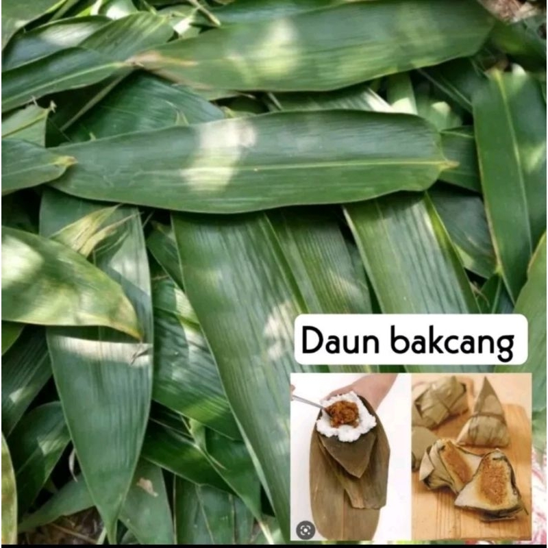 

Daun pembungkus bakcang / kicang fresh ya