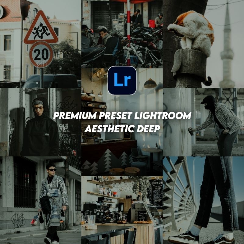 Preset Lightroom Premium Aesthetic Deep ( Android & IOS)