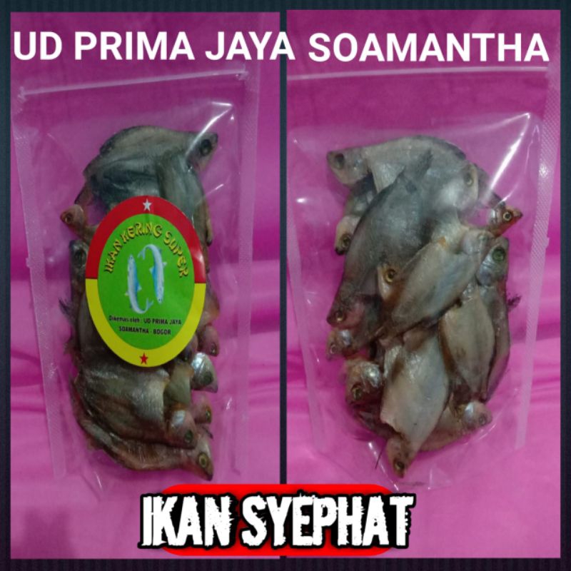 

IKAN ASIN SEPAT KECIL IKAN ASIN SUPER