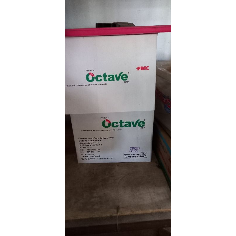 Octave 50 wp
