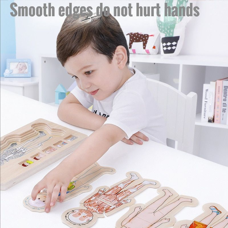 Human Body Puzzle Multilayer Anatomy Educational Wooden Puzzle Anak Montessori Puzzle Games