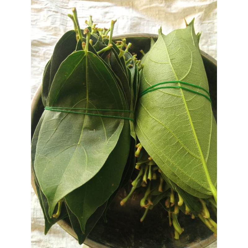 

daun cincau segar 100 gram