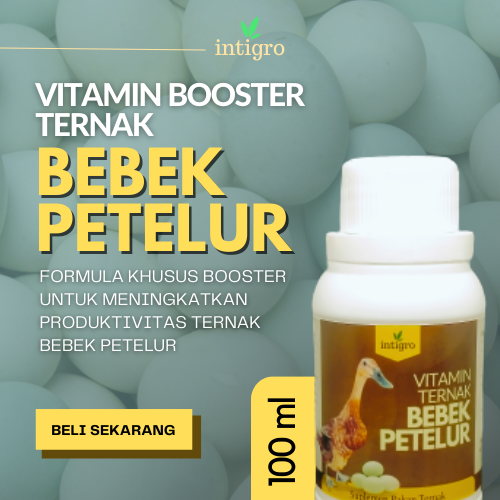 Vitamin Ternak Bebek Petelur Agar Telur Bertambah Banyak / Obat Bebek Petelur / Obat Bebek Cepat Ber