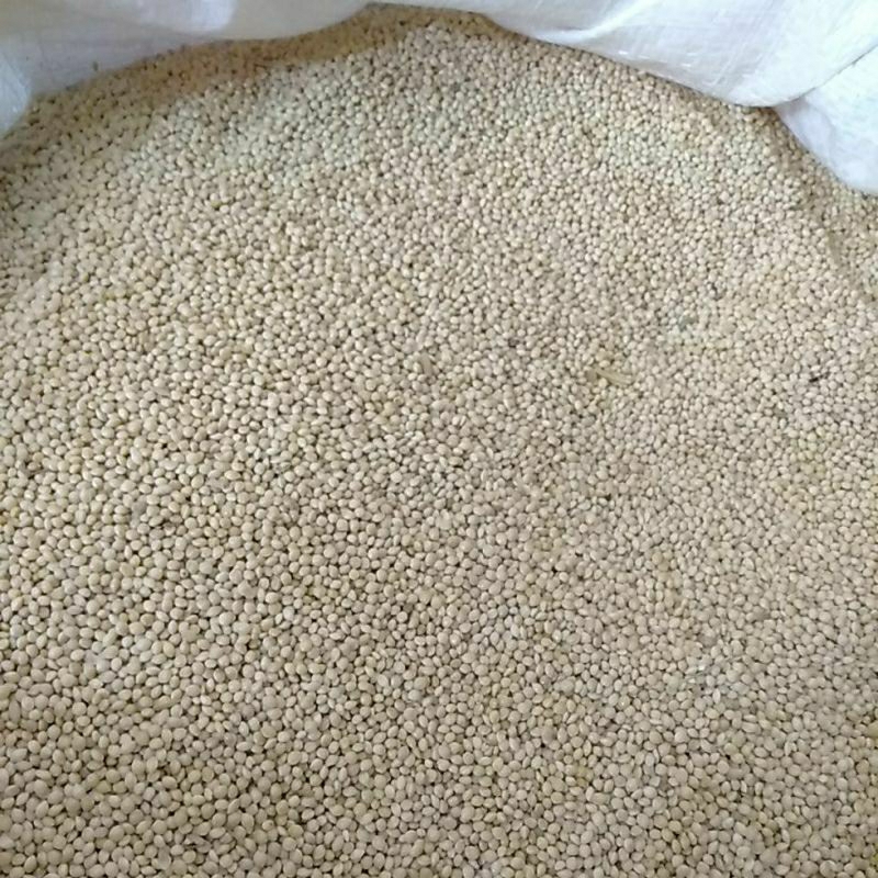 milet putih Lovebird 1kg