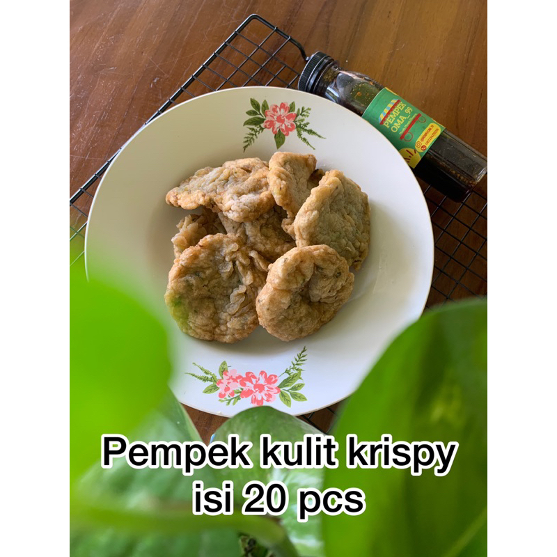 

pempek kulit krispy isi 20 pcs pempek palembang pempek murah