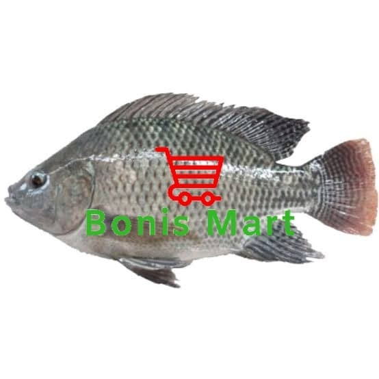

Ikan Nila Komsumsi Segar Dan Fress Netto 1 Kg.