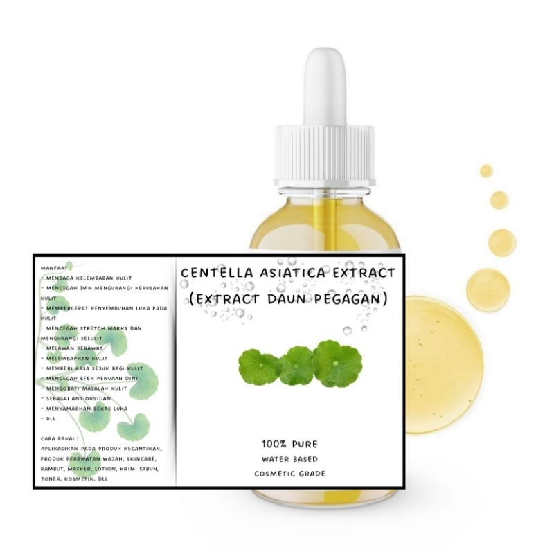 100% Pure centella asiatica extract ekstrak daun pegagan