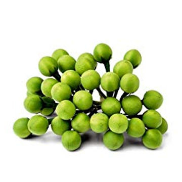 Rimbang 100gr