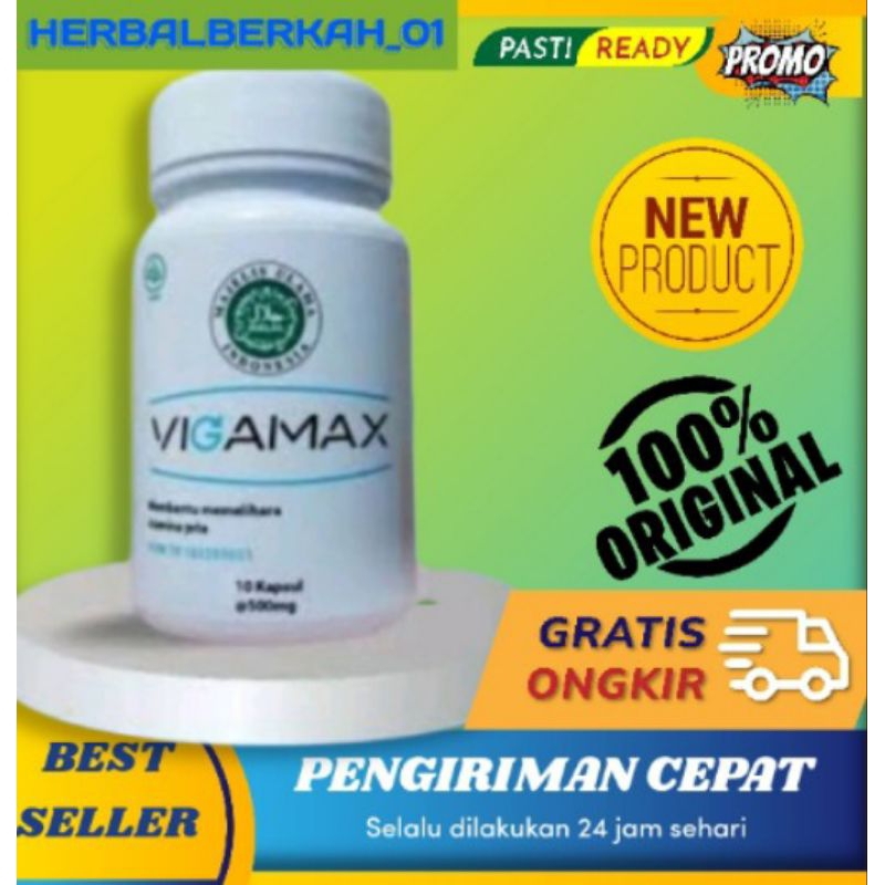 VIGAMAX Asli Original Obat kuat Pria Ampuh Vigamax obat Pemanjang Alat Vital pria permanen bpom