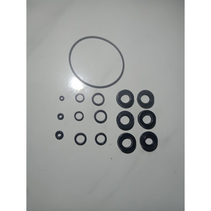 Seal Mesin Jet cleaner TKR Annovi Reverberi 1set water seal TKR Annovi Reverberi