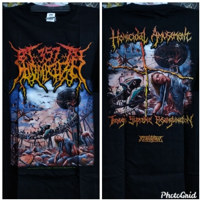 Ts 357 homicide - homicidal