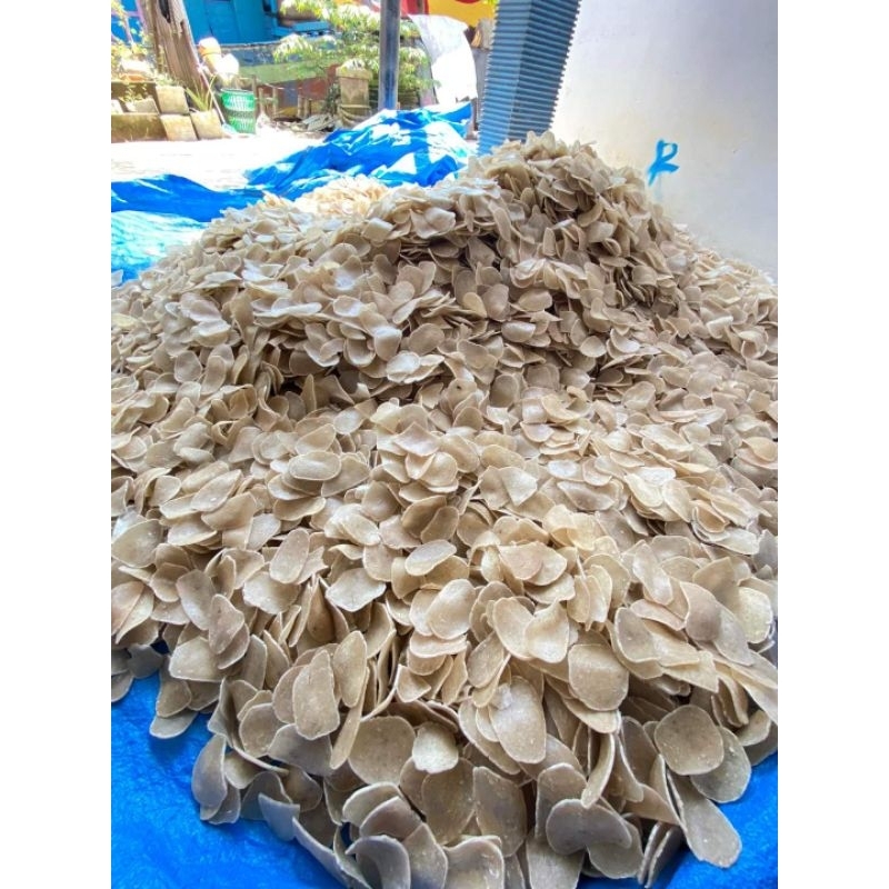 

kerupuk ikan tengiri