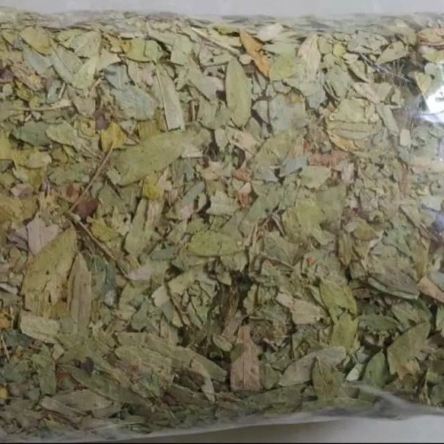 

MURAH DAUN JATI CINA KERING HERBAL 50 GRAM