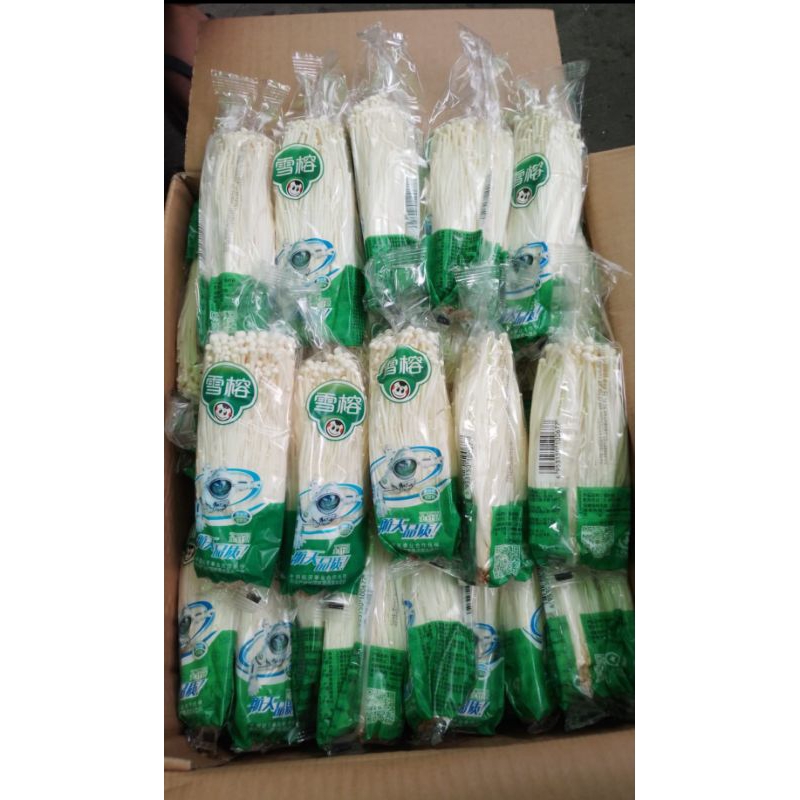 

jamur enoki