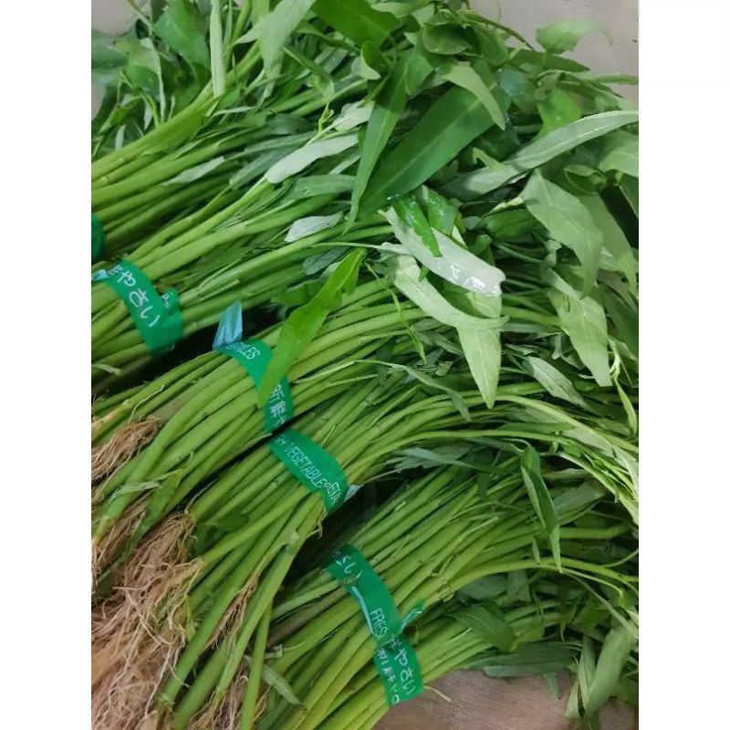 

Sayur Kangkung 250gr (Fresh)