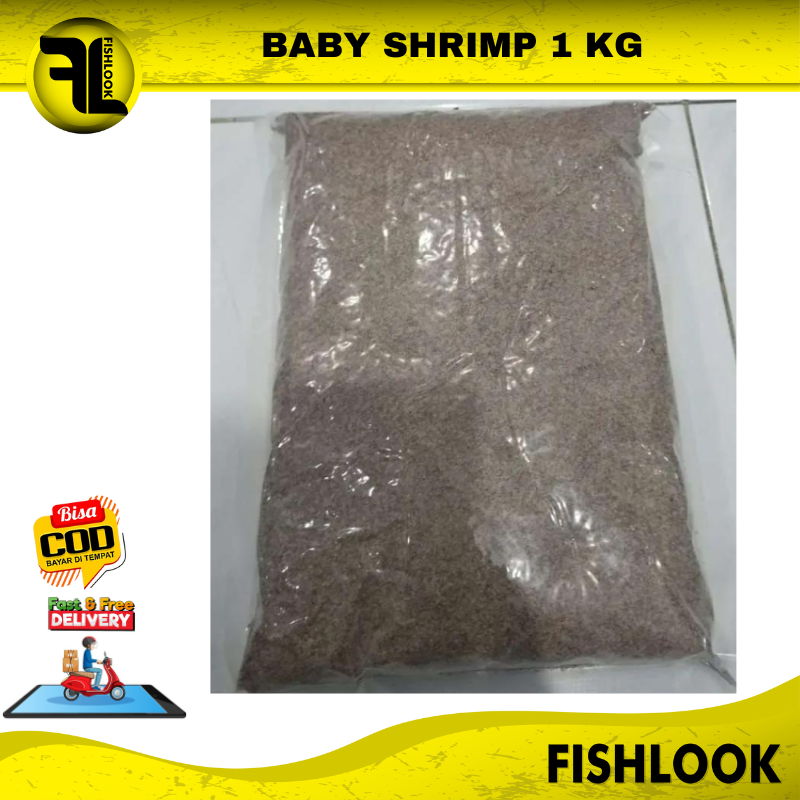 BABY SHRIMP 1KG PAKAN IKAN BURAYAK BAYI UDANG KERING 1000GR