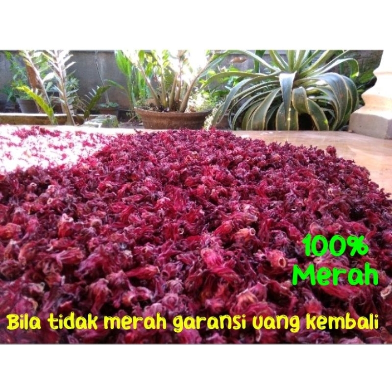 

Bunga Rosella Merah Kering 1 Kg Untuk Diet Bunga Rosela grade A