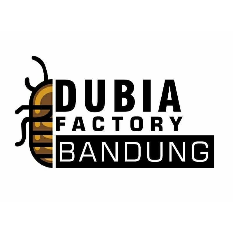 KECOA DUBIA 1.5-2CM / PAKAN REPTIL BURUNG KICAU DAN IKAN