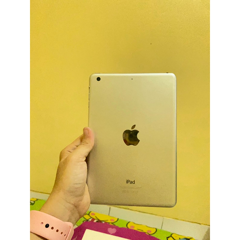 iPad  3 mini IBOX