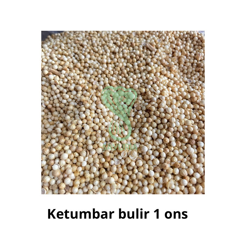 

Ketumbar bulir 1 Ons