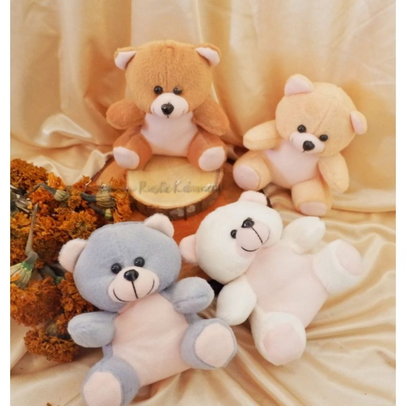 Boneka Wisuda/Hampers/Boneka Buket 20 cm/Boneka Beruang Kombinasi/Boneka Mini