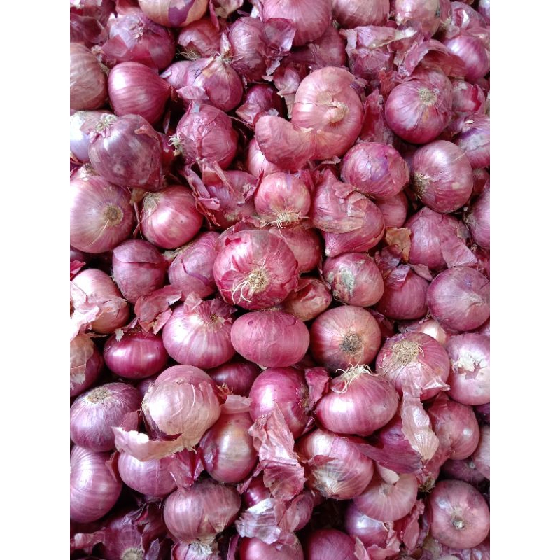 

bawang merah Bombay (India)