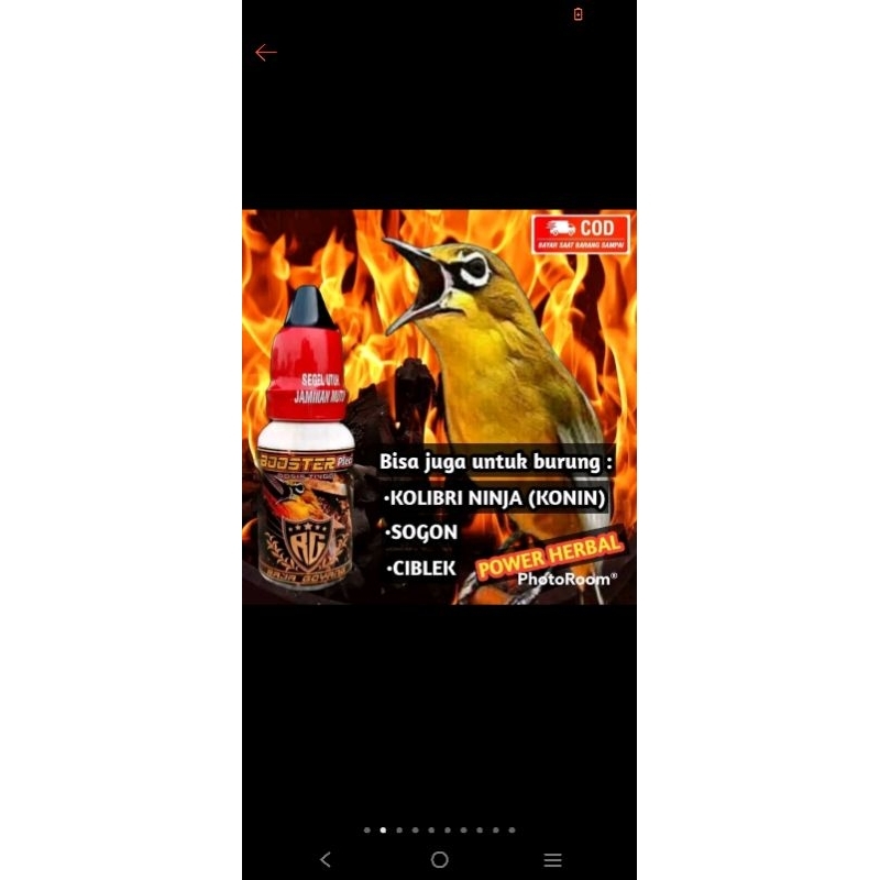 BOOSTER Pleci (DOSIS TINGGI)