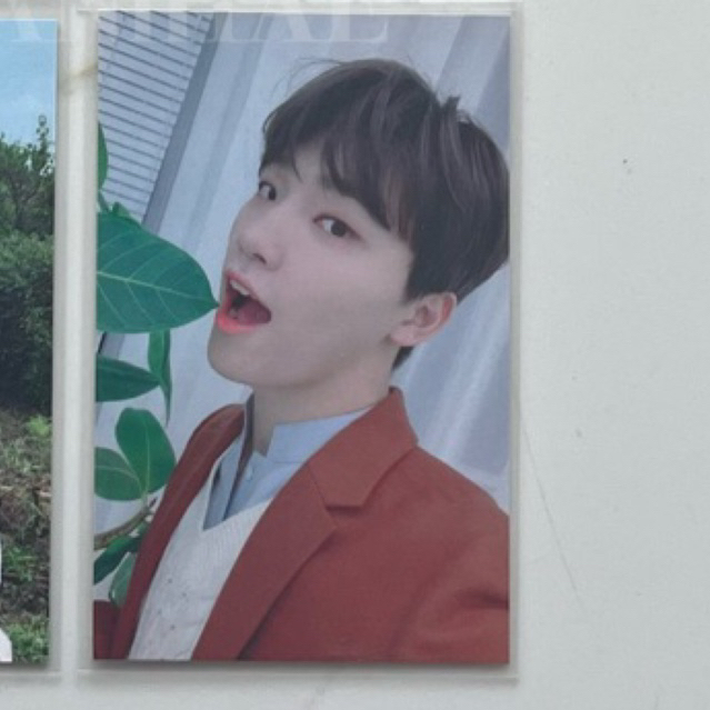 checkout link dino home selca broadcast pc