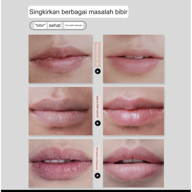 [COD] MEIBOUGE MEN’s Lip Balm Vaseline | Pelembab Anti Retak | Pelembab Bibir Perawatan Kulit Pria