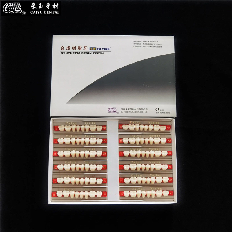 Gigi Caiyu Geraham Bawah 1 dus/box/kotak/pack isi 12 papan/strip gigi palsu merk cayyu yuying poster