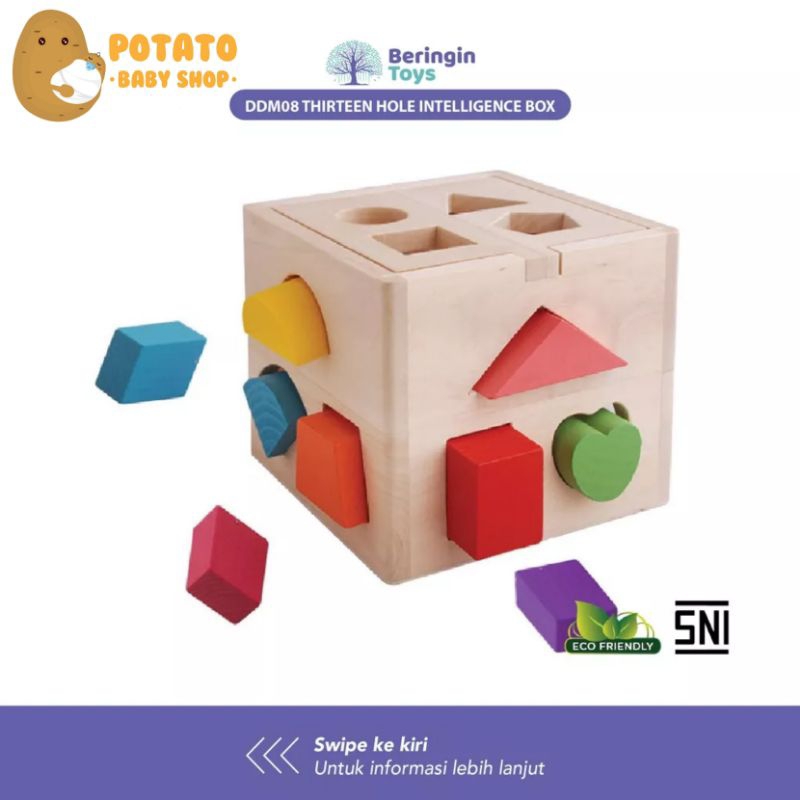 BT DDM08 Thirteen Hole Intelligence Box - Wooden Shape Mainan Box Puzzle - Wooden
