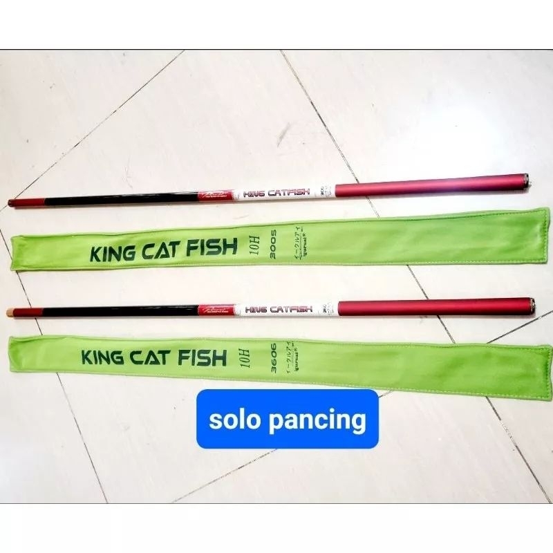 TEGEK IGURUAI KING CAT FISH