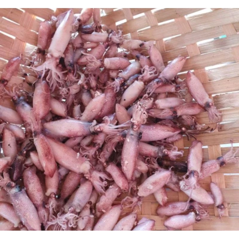 

cumi cumi baby 100gr