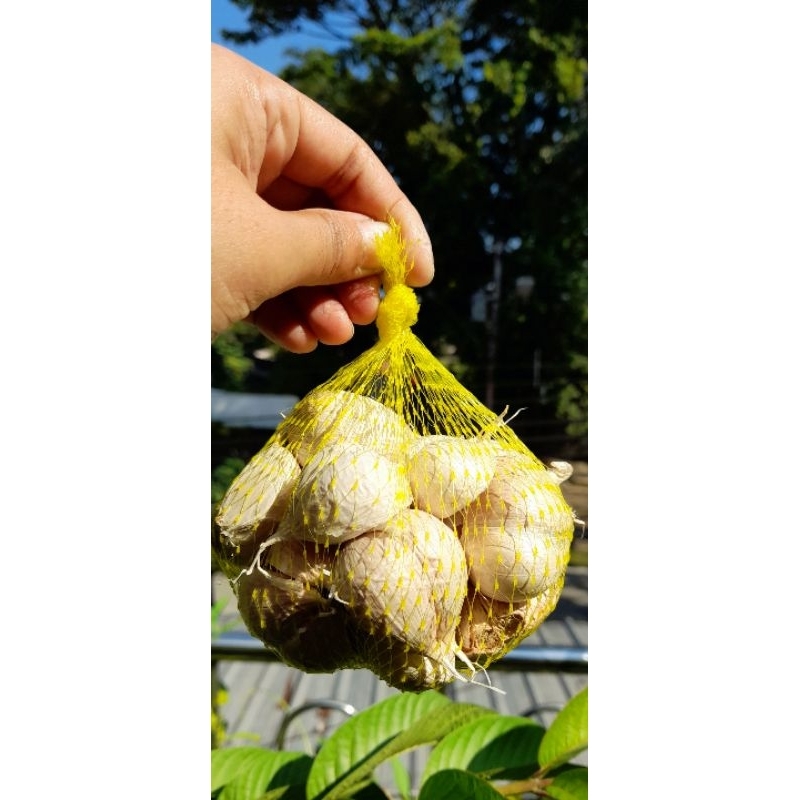 BAWANG PUTIH KATING BERSIH PRETELAN 250 GRAM