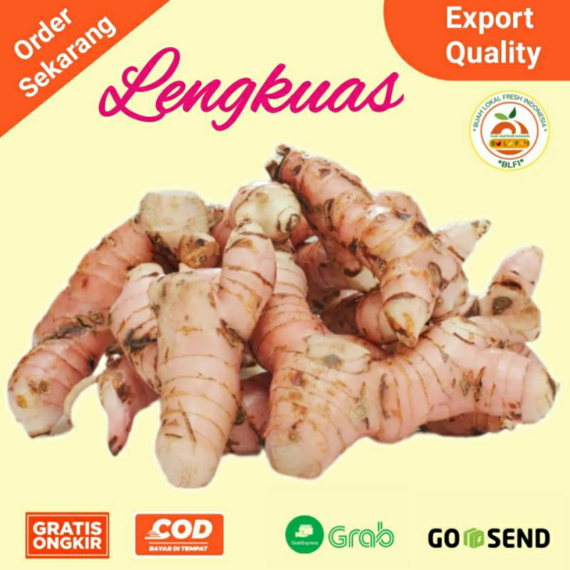 

LENGKUAS LAOS REMPAH BUMBU DAPUR