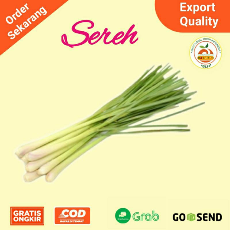 

SEREH SERAI WANGI FRESH