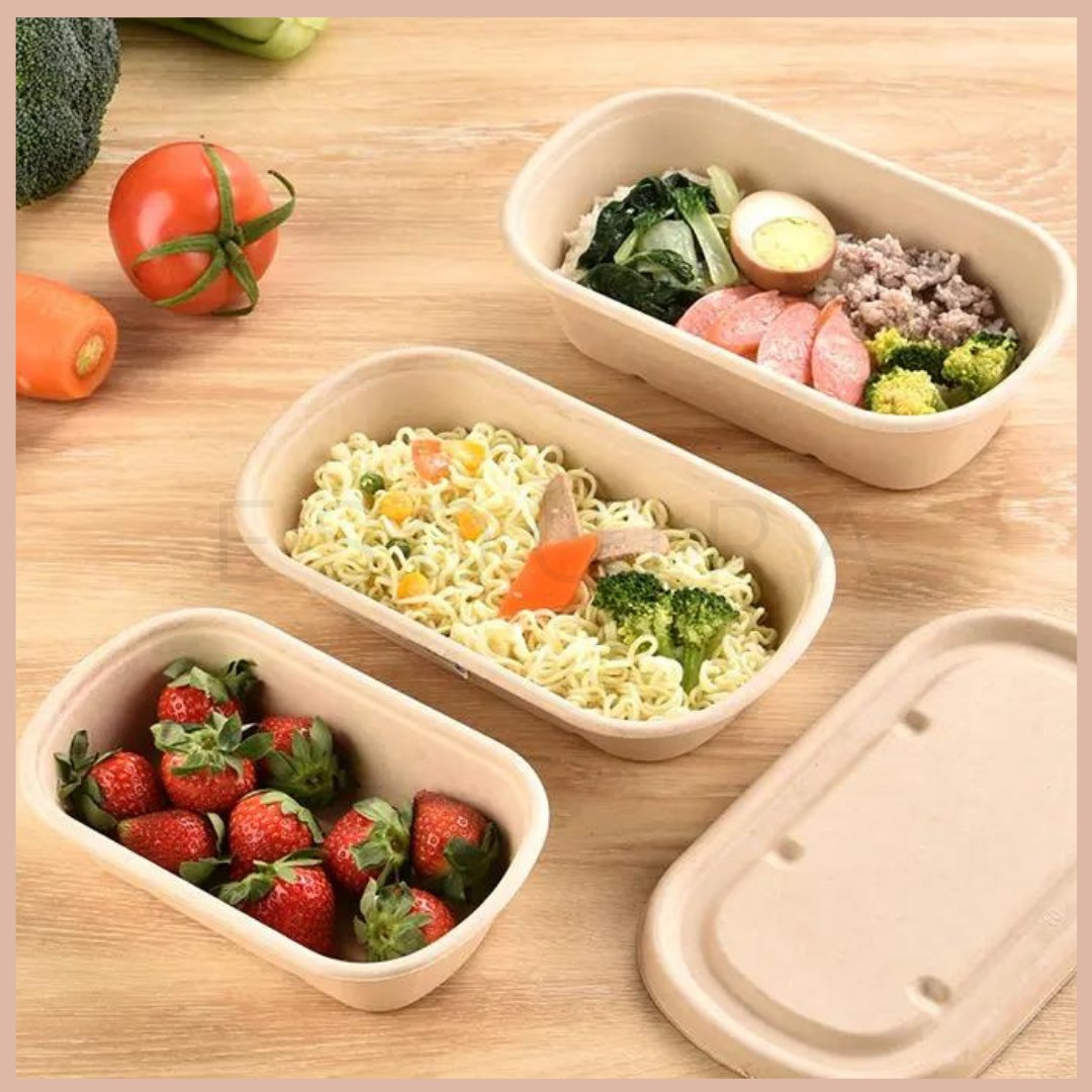 Oval Sugarcane Box 500 ML / Lunch Box 10 Pcs + Lid / TAB500