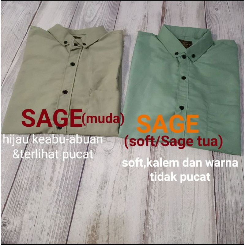 KEMEJA HIJAU SAGE/KEMEJA SAGE GREEN LENGAN PANJANG