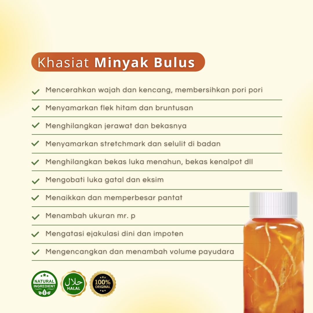 MIBUL 10ML plus GINGSENG