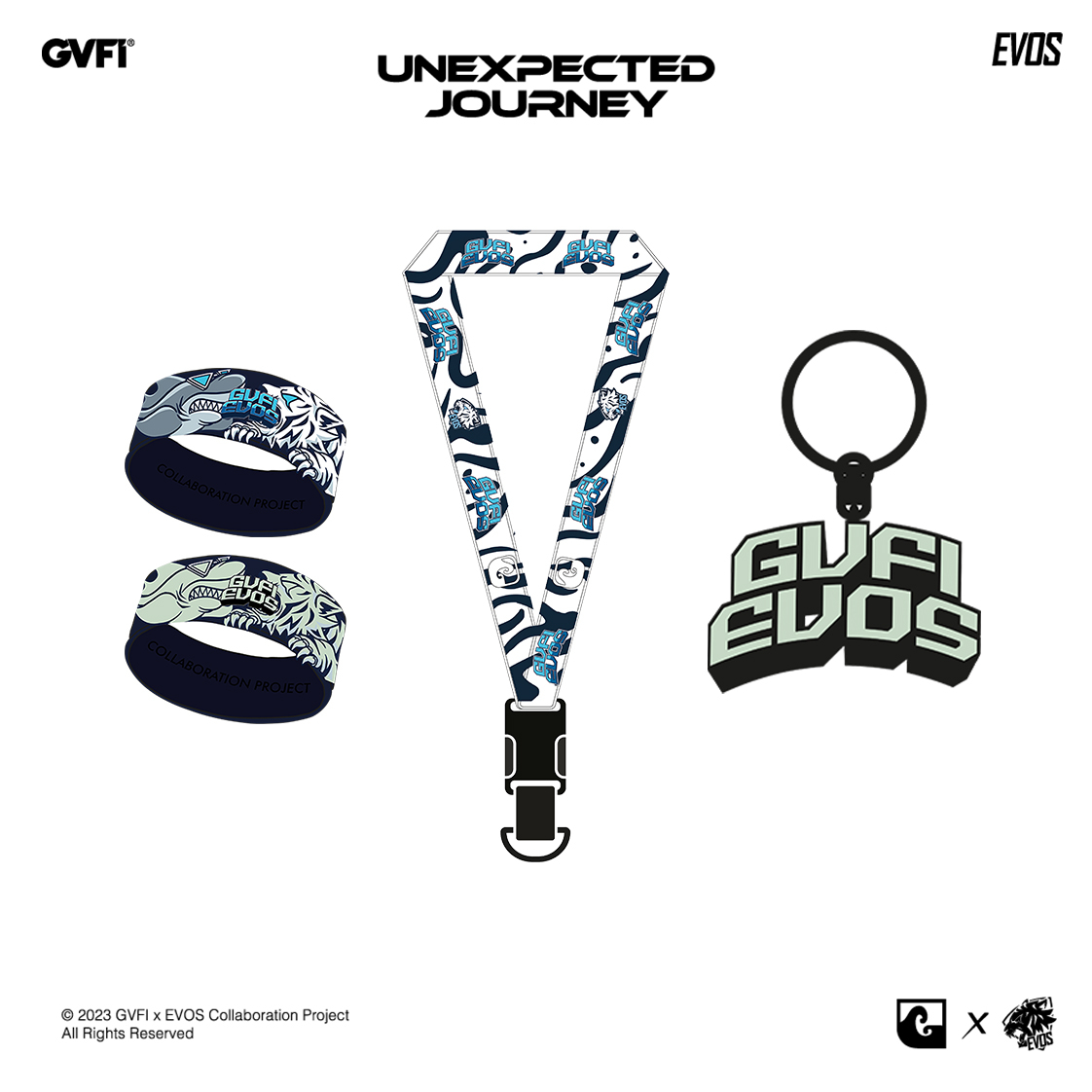 Aksesoris GVFI X EVOS