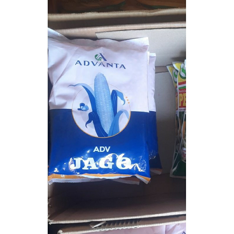 Benih jagung ADV Jago