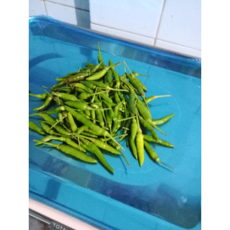 

Cabe Rawit Hijau 100 gram - 250 gram