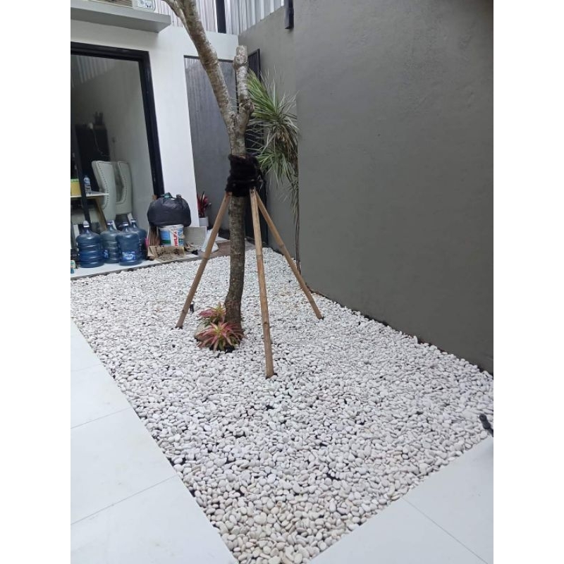 TUKANG BUAT TAMAN KERING