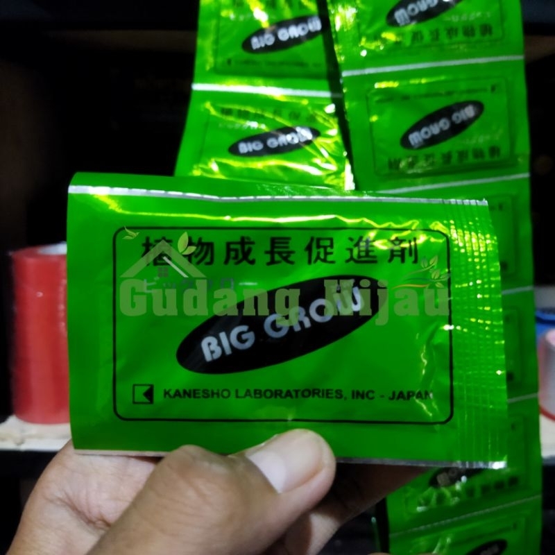 zpt pembesar buah big grow 5 gram teknologi kanesho jepang