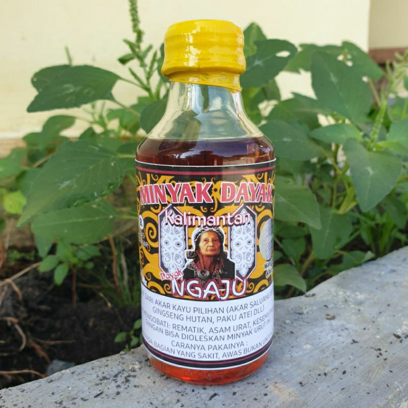 Minyak urut dayak kalimantan asli dayak ngaju berhologram
