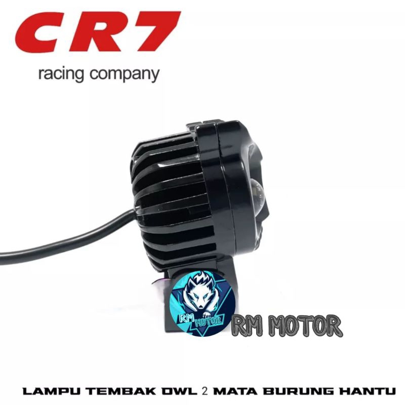 Dijamin terang Lampu tembak Laser LED D2 OWL laser 2 warna